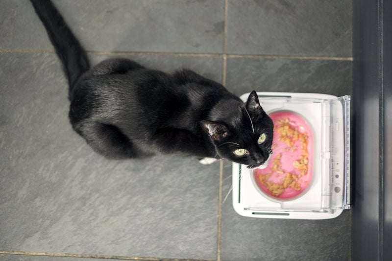 SureFlap Sure Petcare - SureFeed - Motion Activated Sealed Pet Bowl - NOT Microchip Activated - Image 3